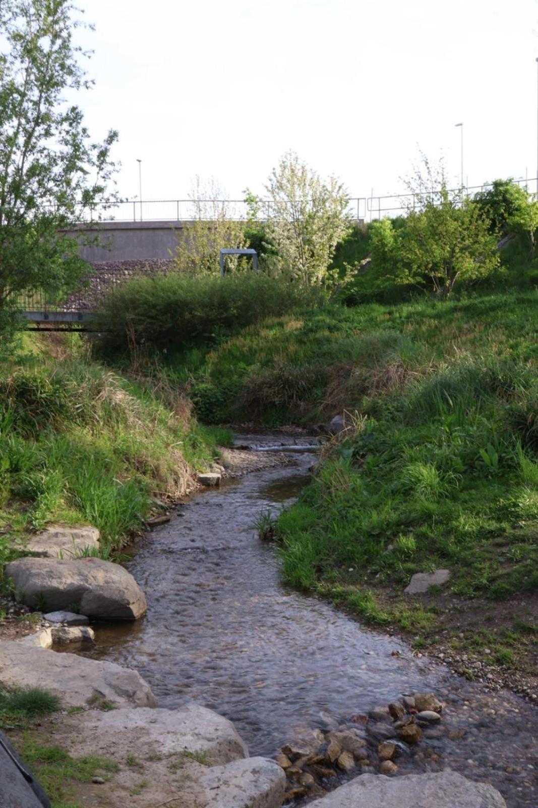 Hofamhohlebach